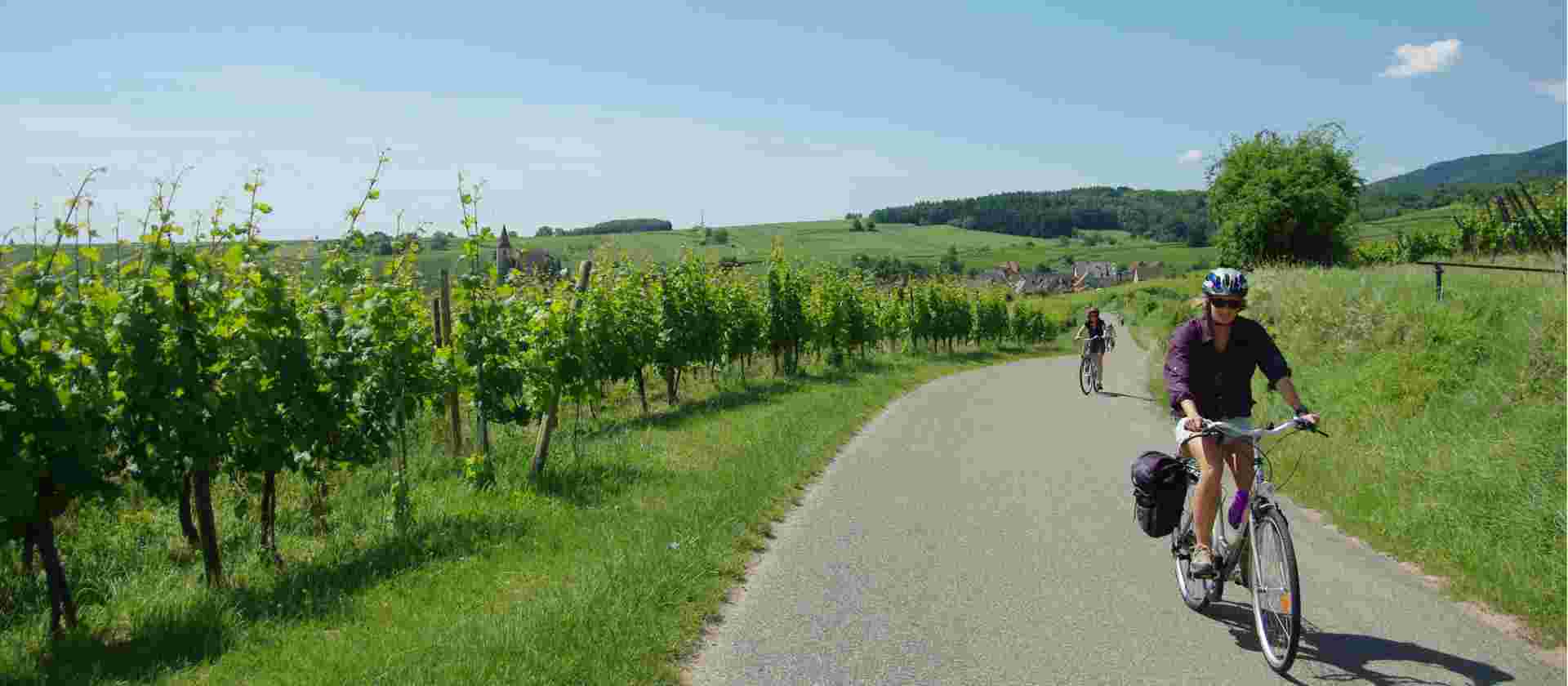 Alsace by Bike