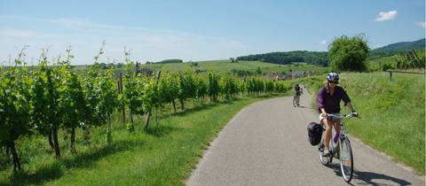 Alsace By Bike - October 2026