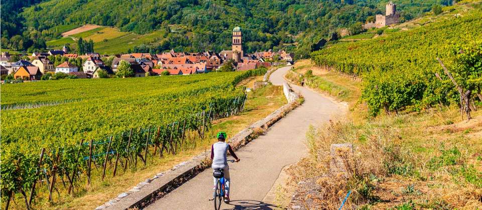 Alsace by Bike - Utracks - France - Image 2