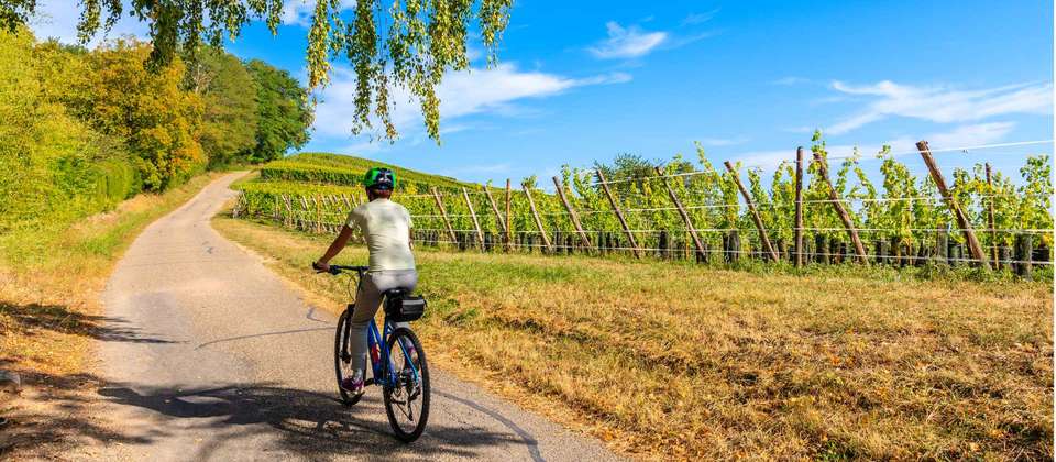 Alsace by Bike - Utracks - France - Image 6