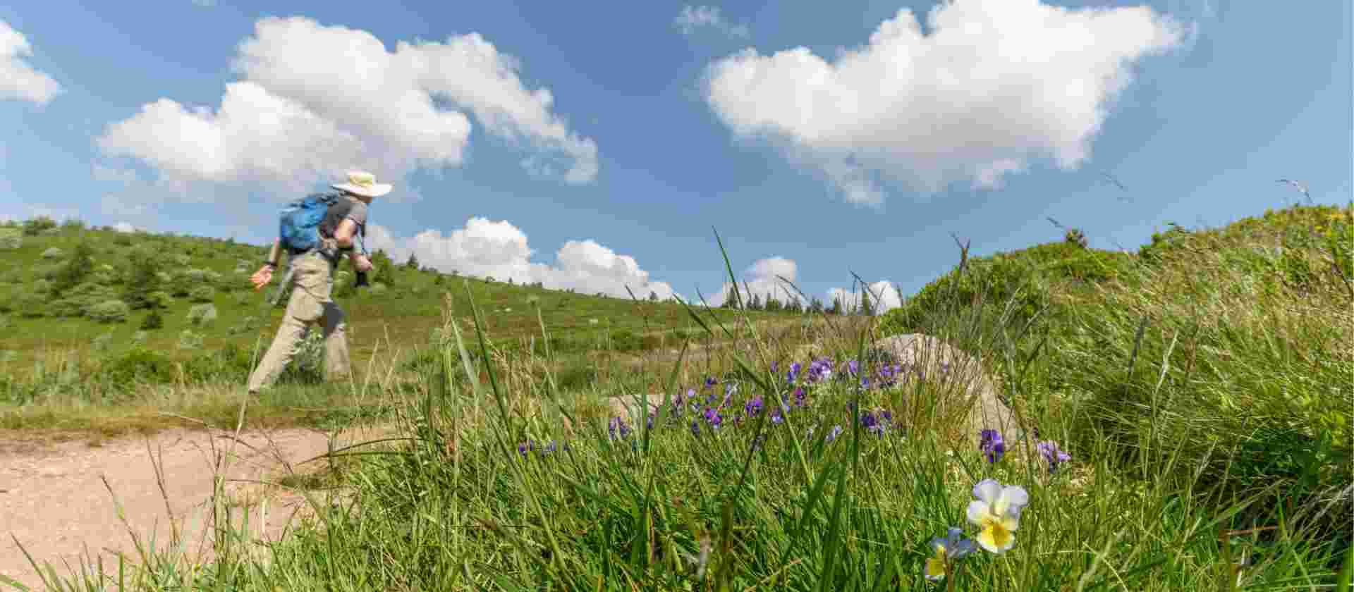 Alsace Mountains & Vineyards Walk