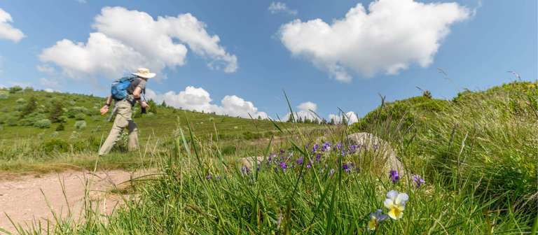 Alsace Mountains & Vineyards Walk trip - alternative tour available