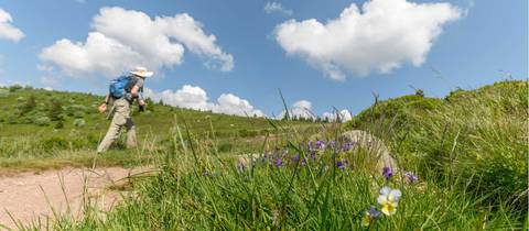 Alsace Mountains & Vineyards Walk - Fall Tours