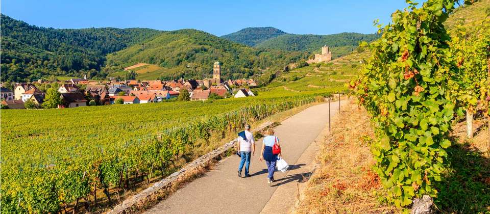 Alsace Mountains & Vineyards Walk - Utracks - France - Image 3