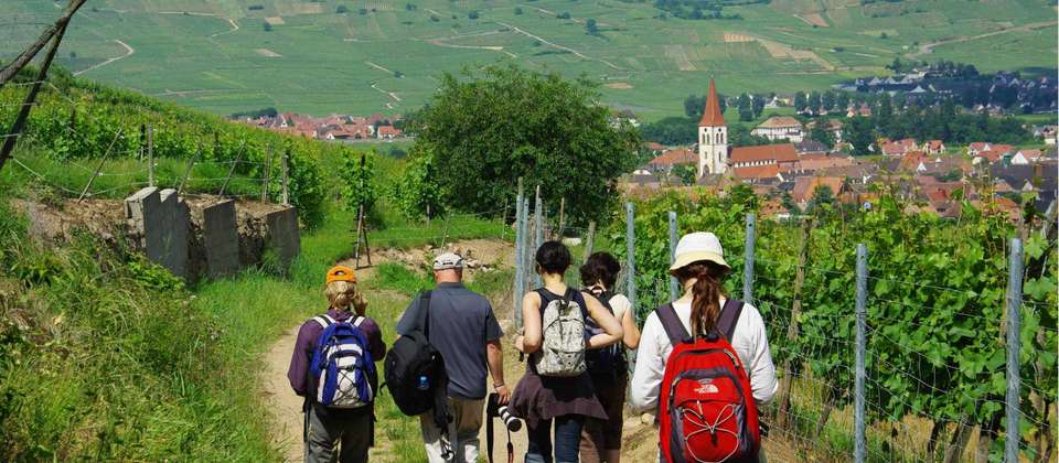 Alsace Mountains & Vineyards Walk - Utracks - France - Image 4