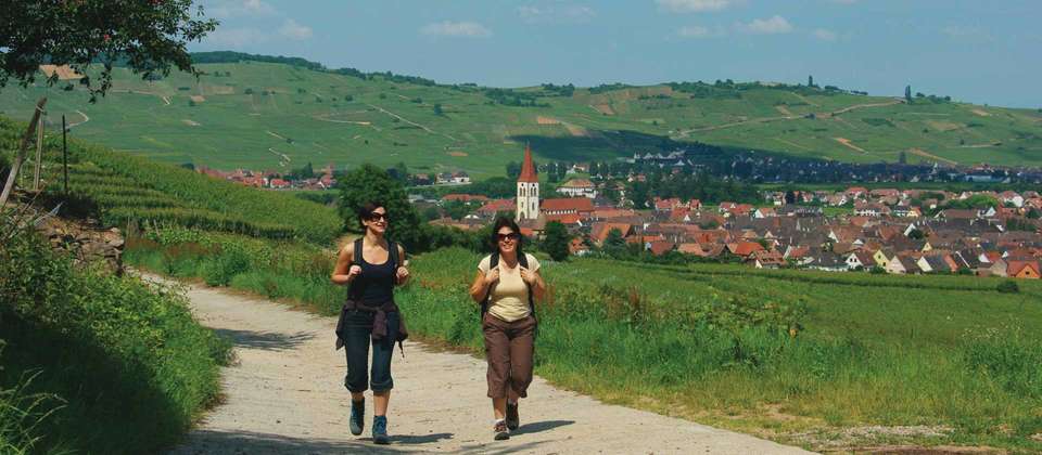 Alsace Mountains & Vineyards Walk - Utracks - France - Image 6