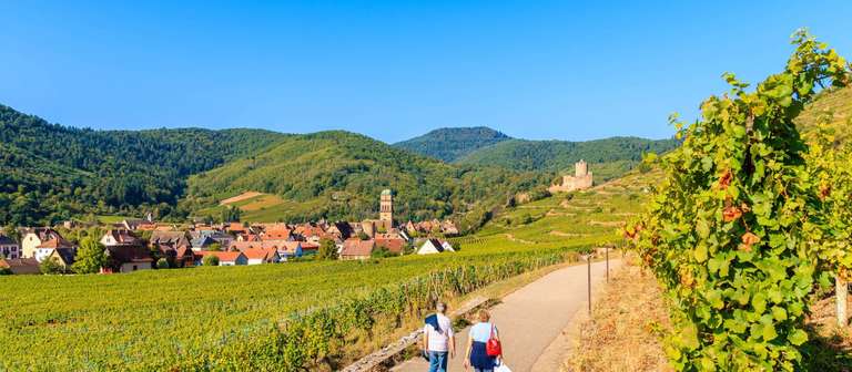 Alsace Vineyard Trails trip - alternative tour available
