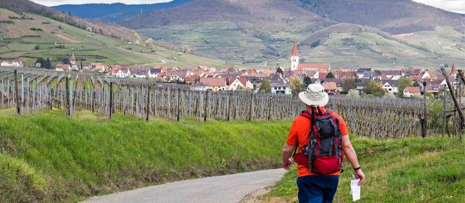 Alsace Vineyard Trails - Walkers' Britain - France