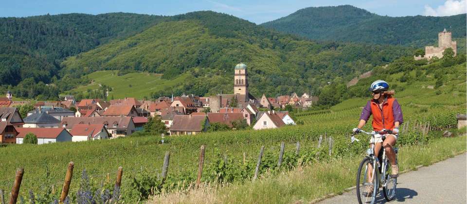 Alsace Vineyards & Rhine Cycle to Strasbourg - Utracks - Switzerland - Image 4