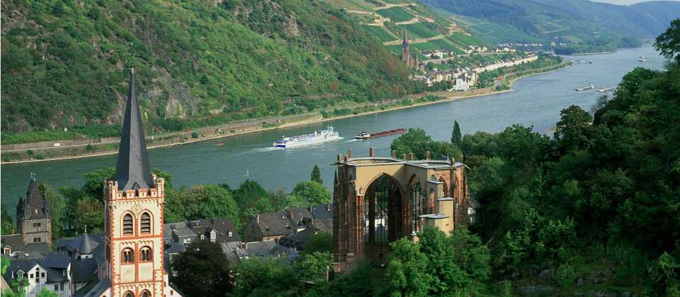Alsace Vineyards & Rhine Cycle to Strasbourg - Utracks - Switzerland - Image 7