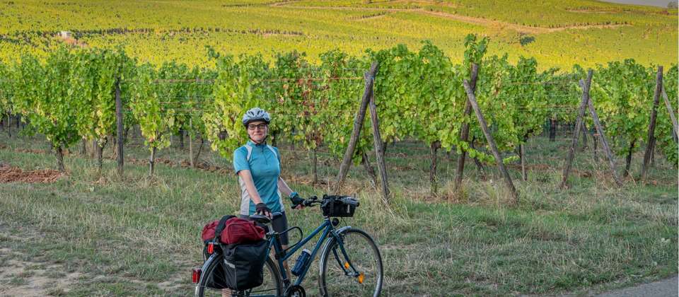 Alsace Vineyards & Rhine Cycle to Strasbourg - Utracks - Switzerland - Image 8