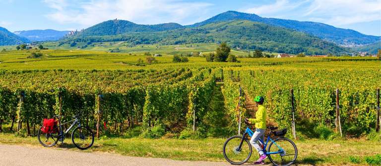 Alsace Wine and Rhine Cycle to Strasbourg - June 2026