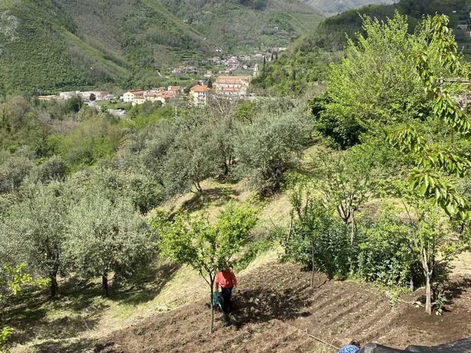 Image 10 of 21