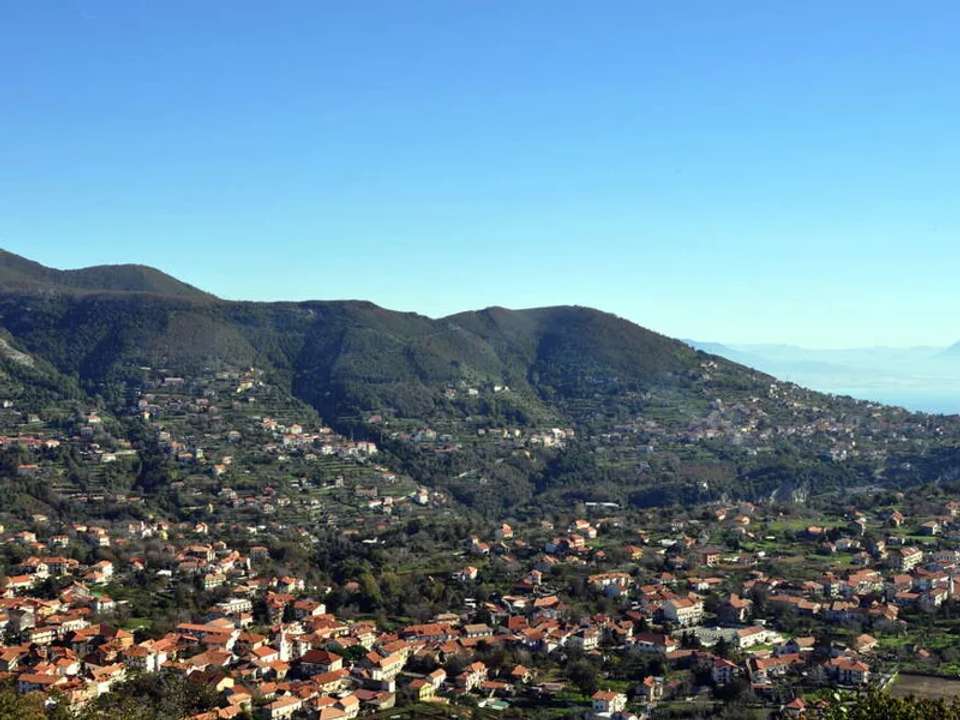 Image 17 of 19