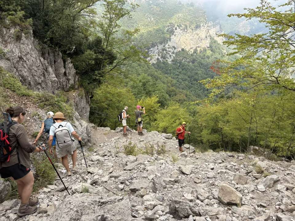 Image 7 of 24