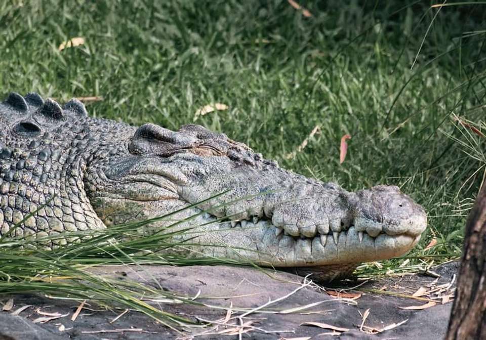 Amazing Australia - Indus Travels - Australia - Image 7