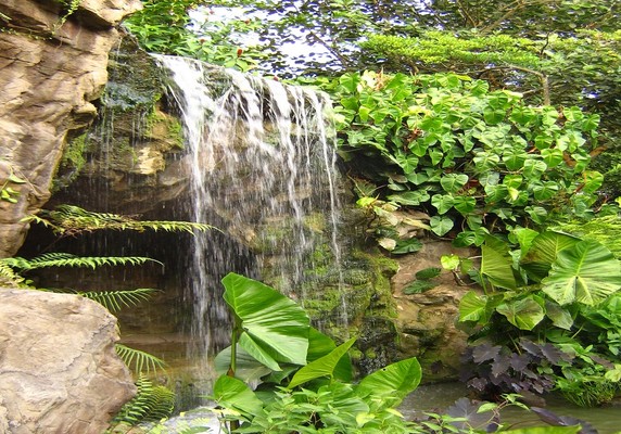 Image 2 of 7