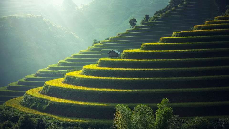 Amazing Bali and Singapore - Indus Travels - Indonesia - Image 6