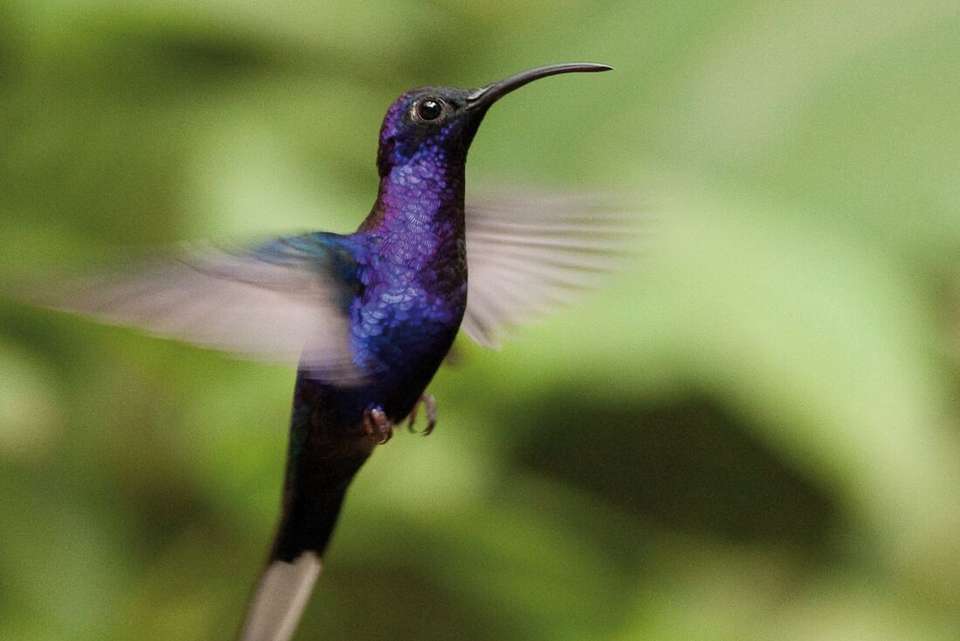 Amazing Central America - Intrepid Travel - Guatemala - Image 11