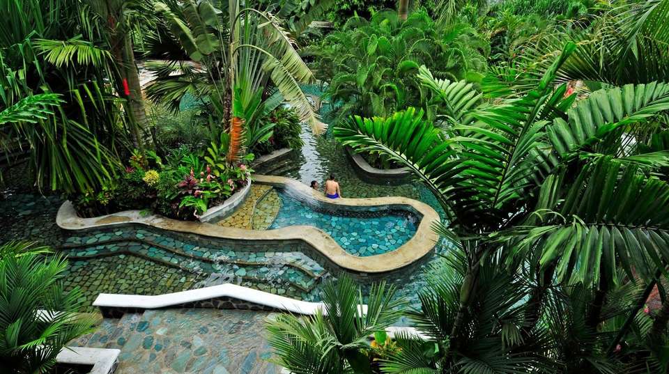 Amazing Costa Rica Experience - Greenway Nature Tours - Costa Rica - Image 2