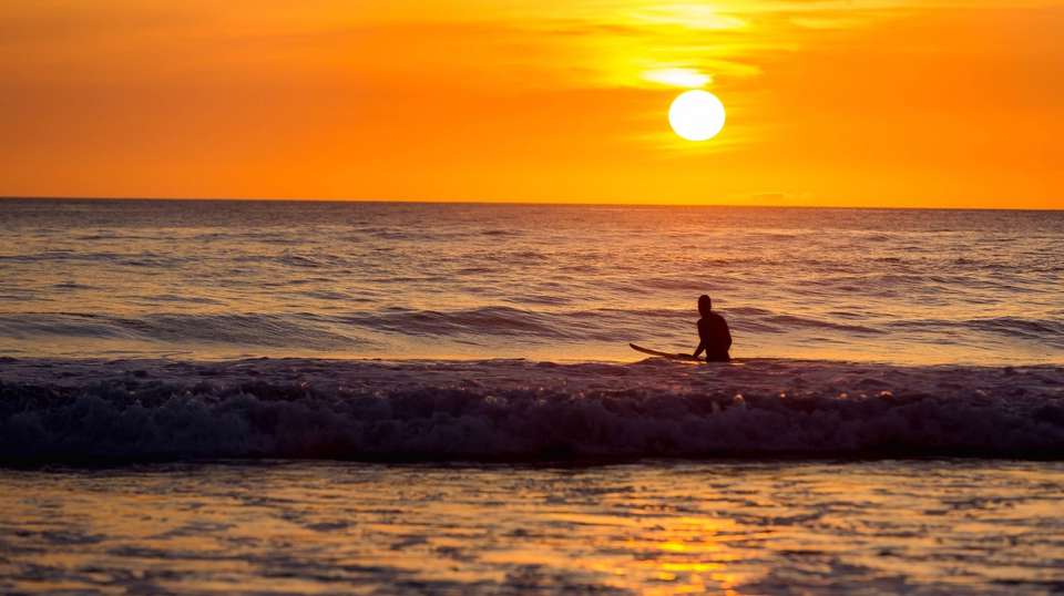 Amazing Costa Rica Experience - Greenway Nature Tours - Costa Rica - Image 6