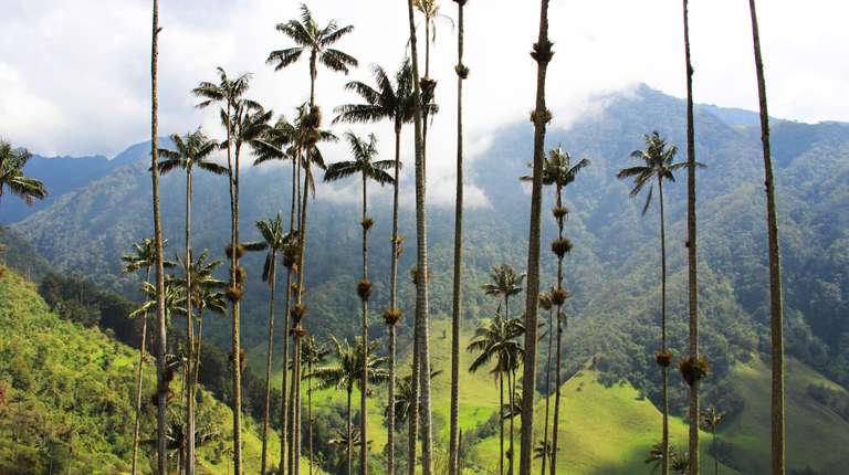 Amazing Highlights of Colombia trip - alternative tour available