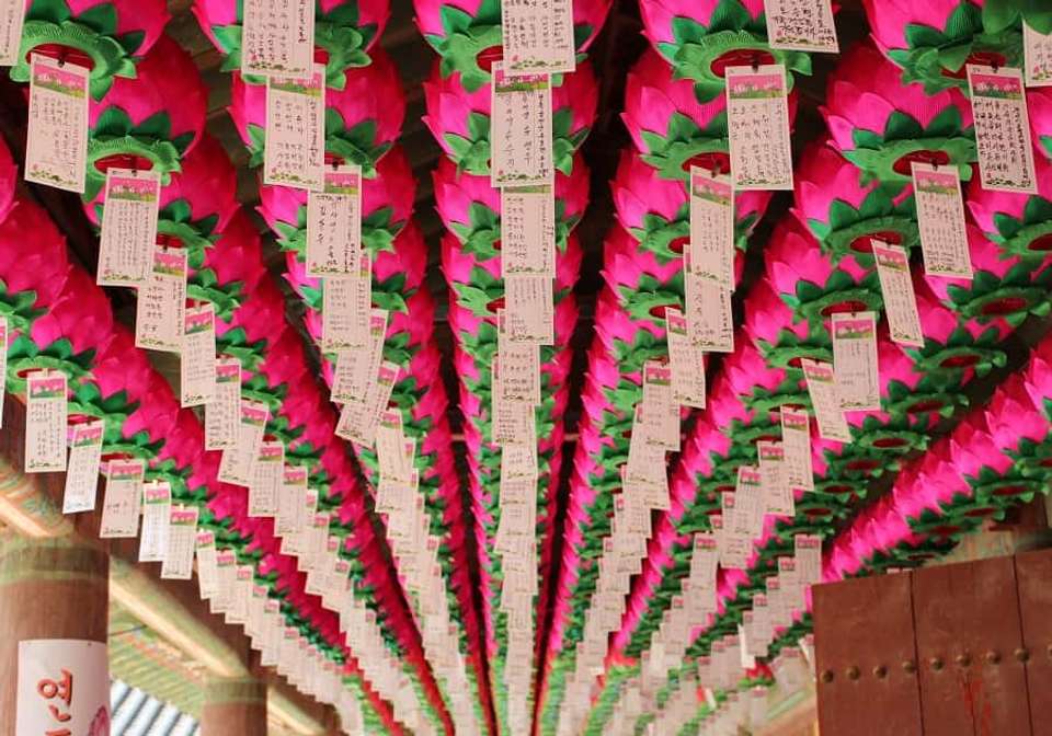 Amazing Hong Kong and Korea - Indus Travels - Hong Kong - Image 4