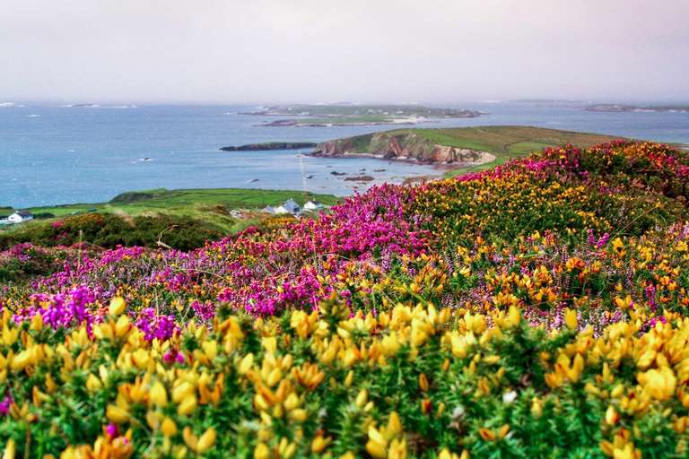 Ireland Experienced Travelers Trips: Amazing Ireland