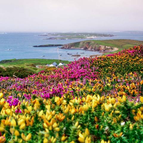 Europe Travel Deals: Amazing Ireland - Signature