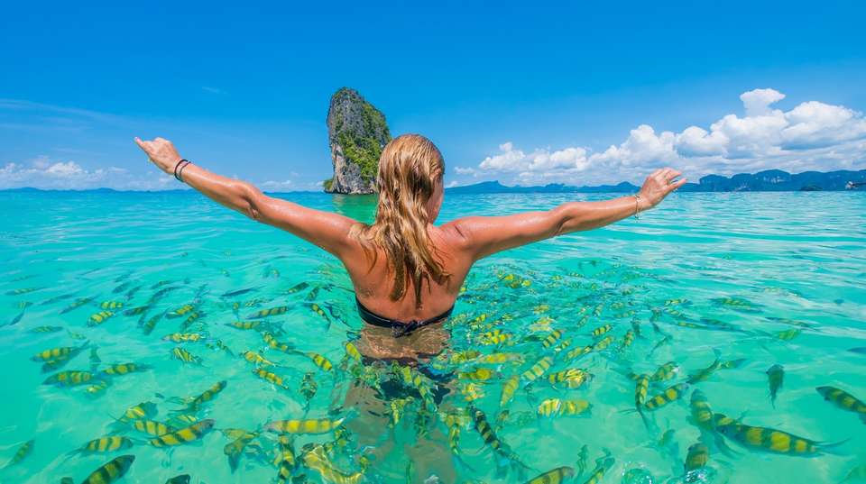 Amazing Vietnam, Cambodia and Thailand - Prestigo Asia - Vietnam - Image 12
