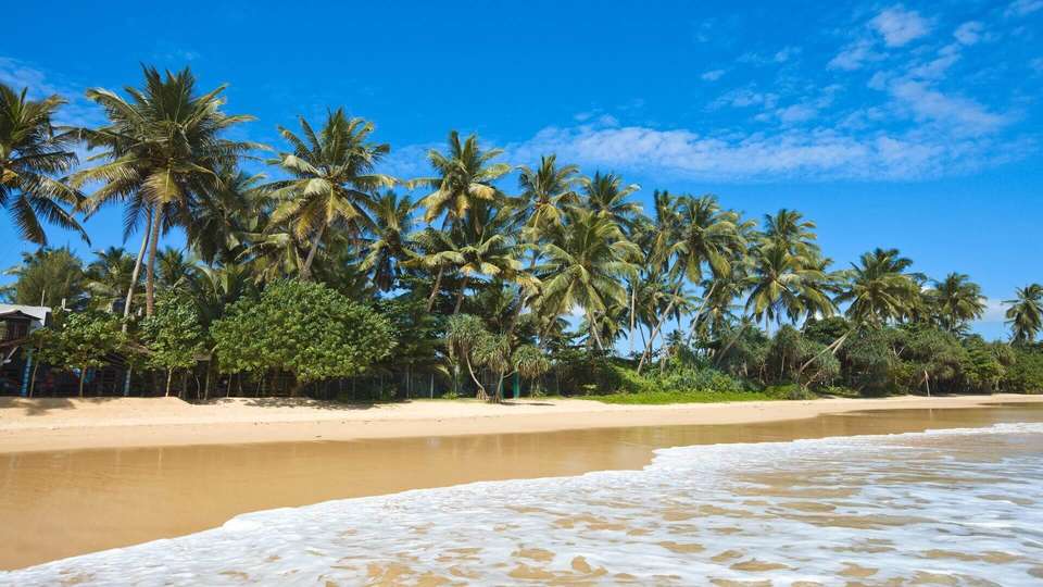 Amazing Sri Lanka - Indus Travels - Sri Lanka - Image 7