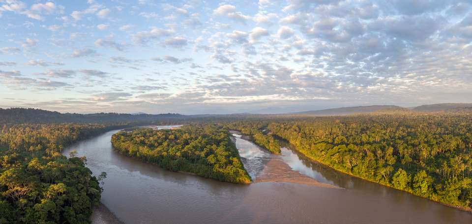 Amazon Add-on Tour – La Selva Lodge - undefined - Image 6