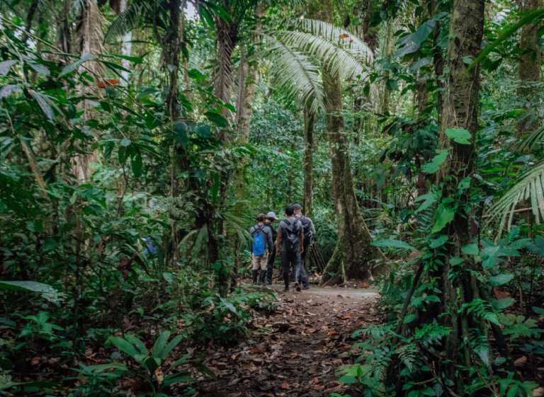 Amazon Add-on Tour – Napo Cultural Center trip - alternative tour available