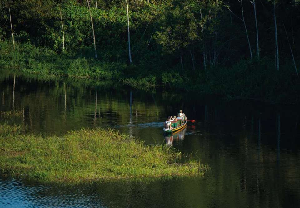 Amazon Add-on Tour – Napo Wildlife Center - undefined - Image 4