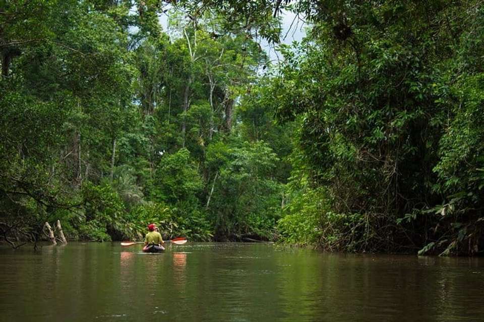 Amazon Cuyabeno & Papallacta - 5 days - undefined - Image 6