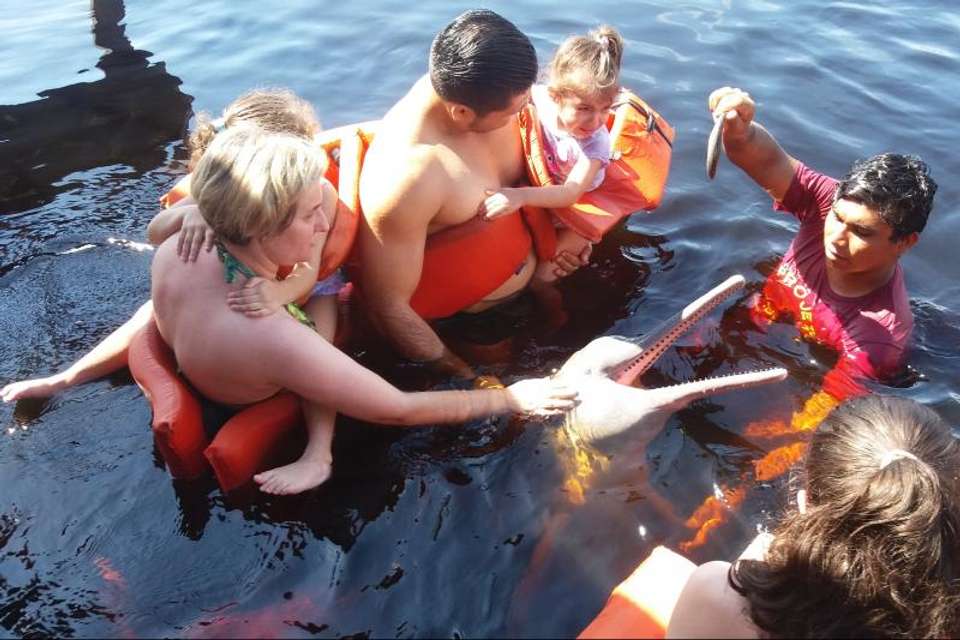 Amazon Dolphins Day Tour - Tangol Tours - Brazil - Image 1