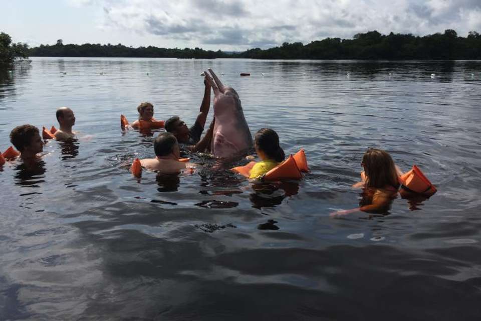 Amazon Dolphins Day Tour - Tangol Tours - Brazil - Image 3