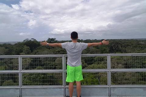 Manaus Explorer Tour: Amazon Natural Museums Combo (inpa And Musa)