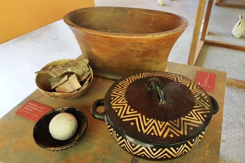 Amazon Natural Museums Combo (INPA and MUSA) - Tangol Tours - Brazil - Image 2