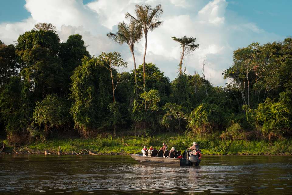 Amazon Rainforest Add-on Tour (from Cuzco) - undefined - Image 3