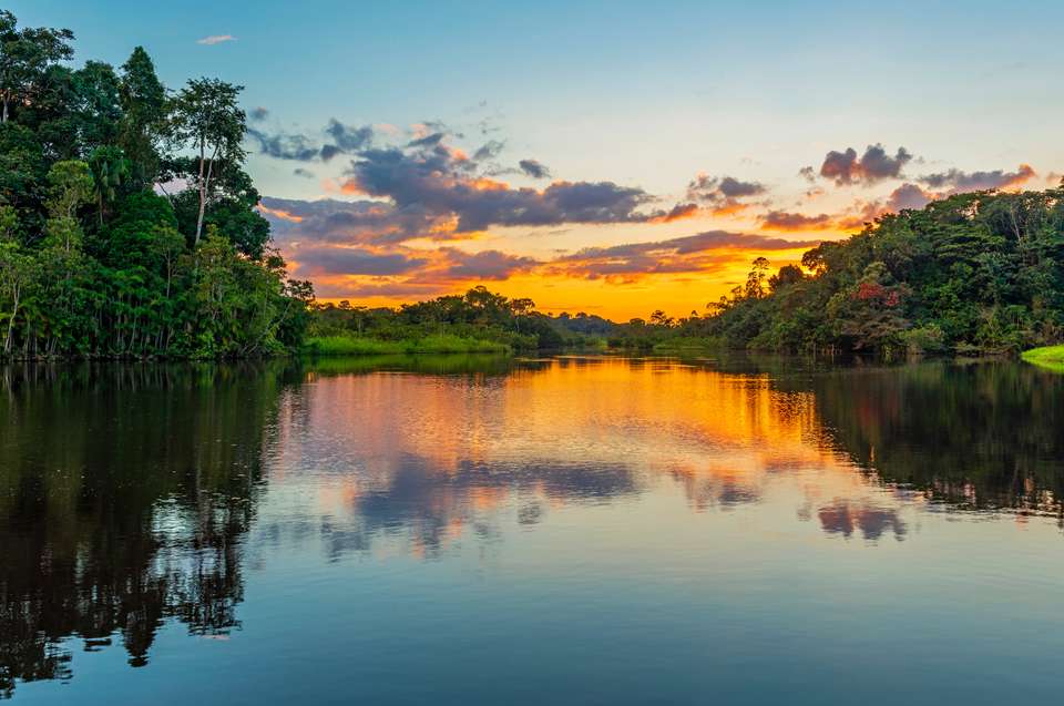 Amazon Rainforest Add-on Tour (from Cuzco) - undefined - Image 6