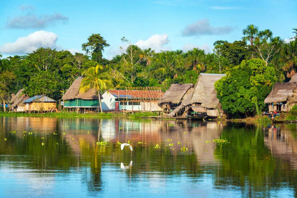 Amazon Rainforest Add-on Tour (from Cuzco) - undefined - Image 10