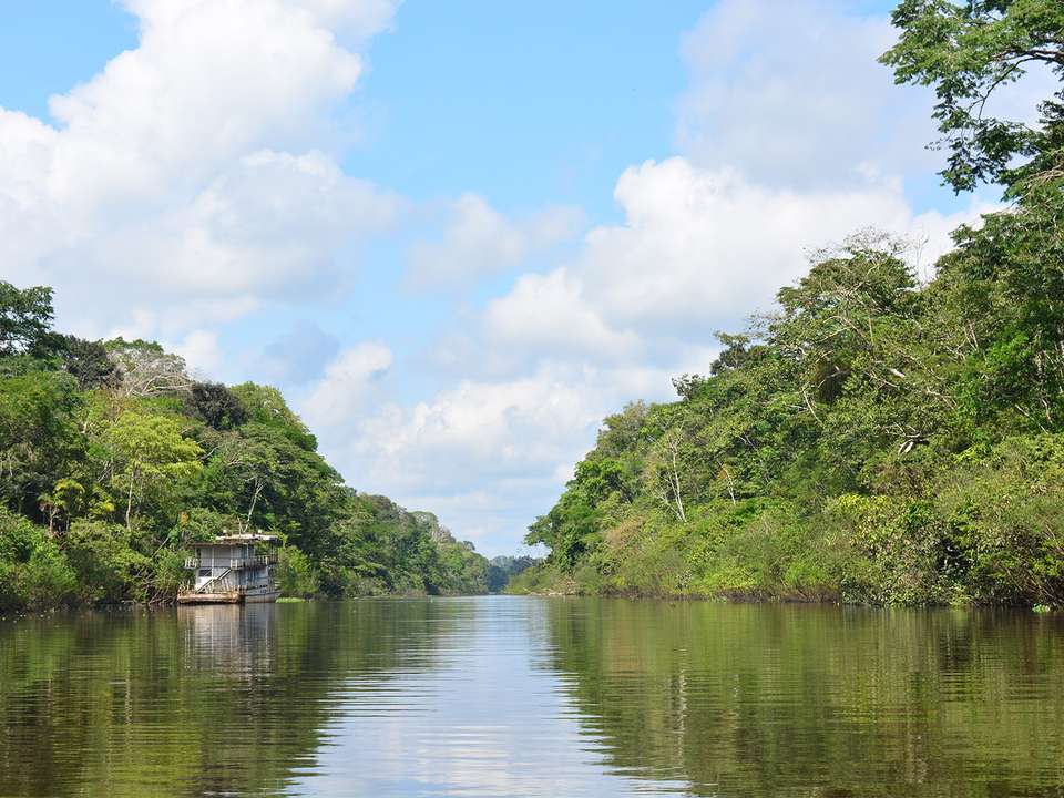 Amazon Rainforest Express - 3 days - On The Go Tours - Peru - Image 2