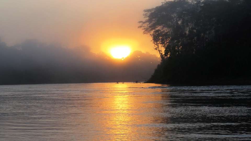 Amazon Rainforest Extension (Pre-tour, from Lima) - undefined - Image 4