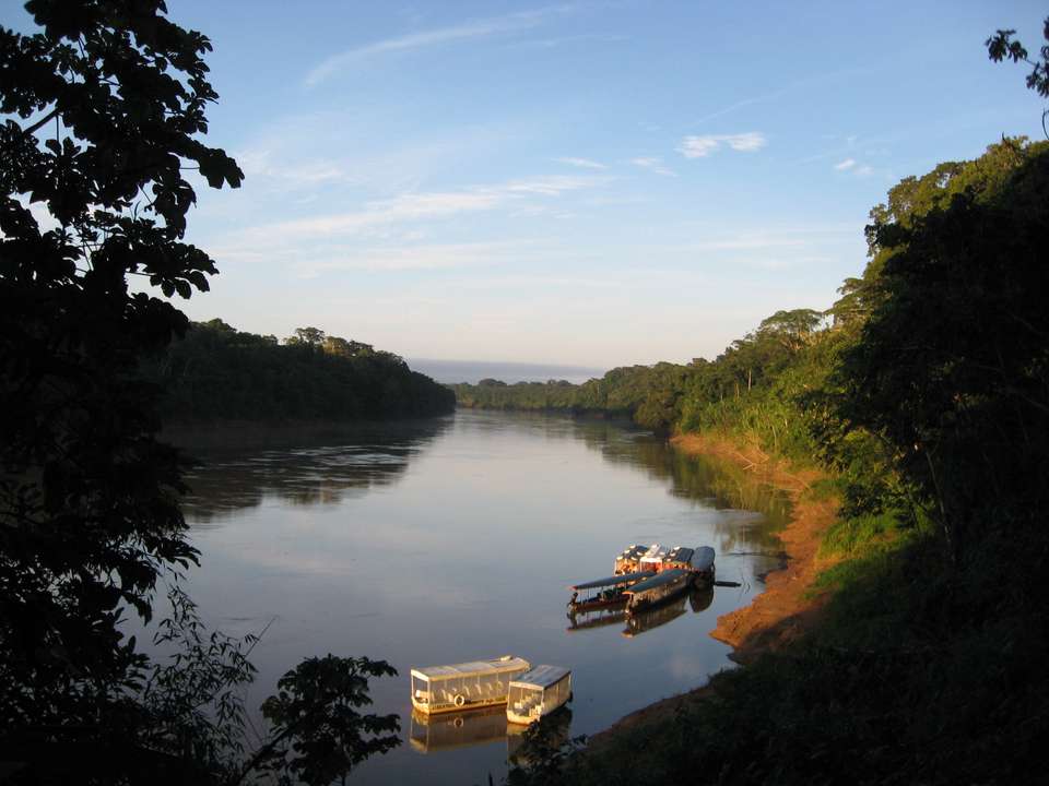Amazon Rainforest Extension (Pre-tour, from Lima) - undefined - Image 7