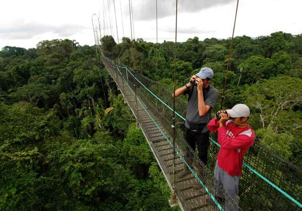Amazon to Galapagos Discovery - Indus Travels - Ecuador - Image 7