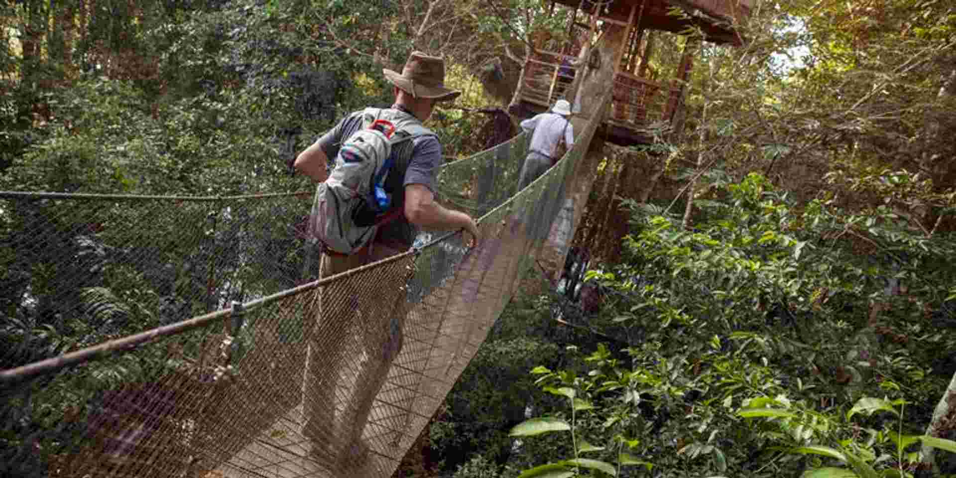 Amazon to the Andes