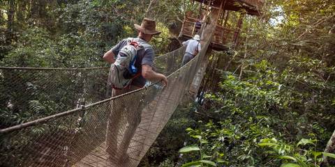 Amazon To The Andes