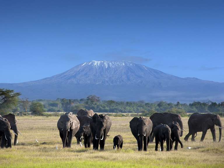 Amboseli, Nakuru & Masai Mara - 6 days trip - alternative tour available