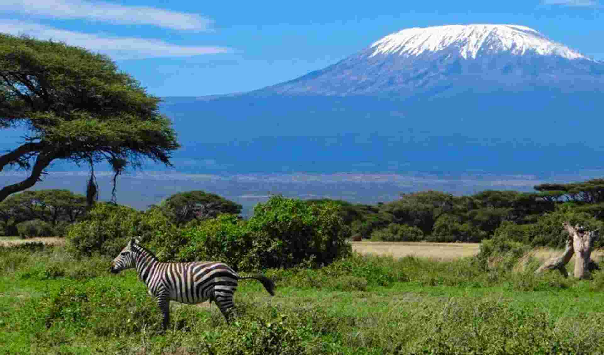 Amboseli Safari 3D/2N